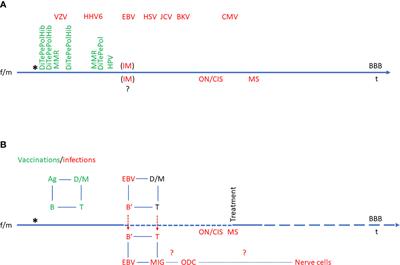 Epstein-Barr Virus and Multiple Sclerosis